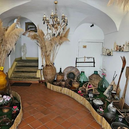 B&B Al Borgo Troina Eksteriør bilde